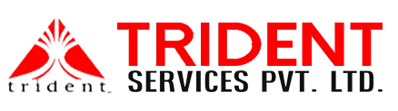 Trident Services Pvt Ltd. Logo