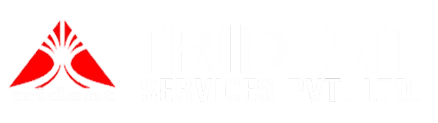 Trident Services Pvt Ltd. Logo