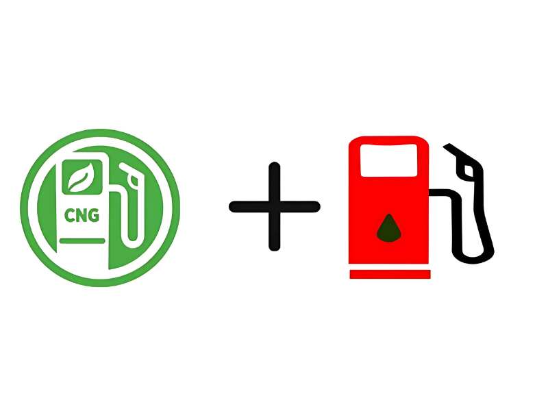 CNG dual fuel kit for genset